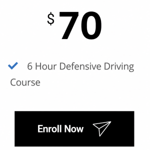 6 Hours Defensive Driving Course[DDC]